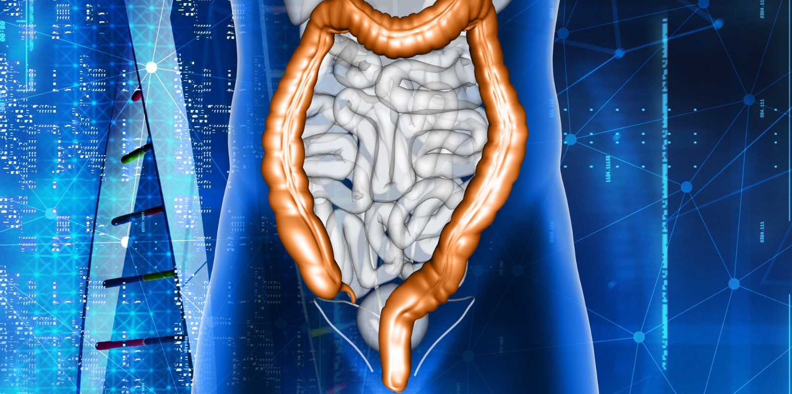 Colon irritabile: i sintomi cui fare attenzione e come agire