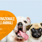 Quanto bene ci fanno i nostri animali!