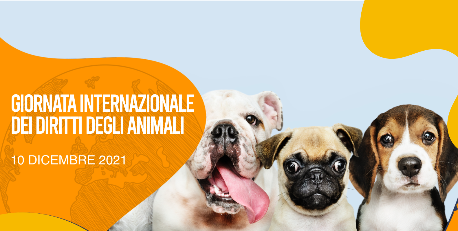 Quanto bene ci fanno i nostri animali!