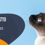 Allergia al gatto, come si manifesta e come comportarsi