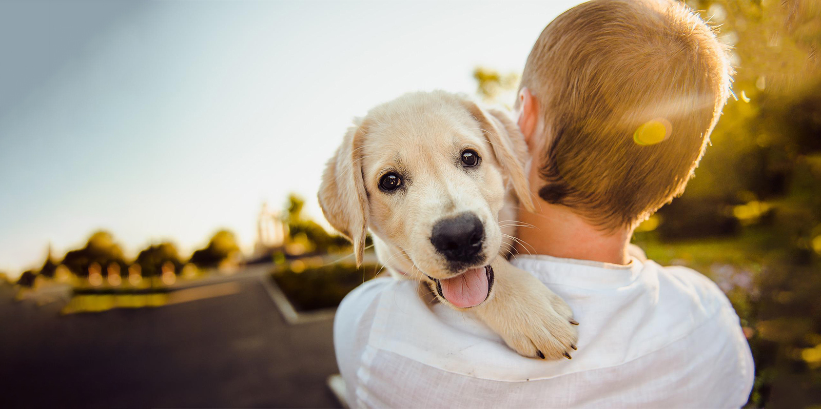 Fido, perché bisogna fare attenzione alla salute, sua e nostra