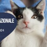 I gatti, amici preziosi contro lo stress ma attenti ai graffi!