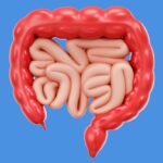 Probiotici e prebiotici, come disinfettare l’intestino