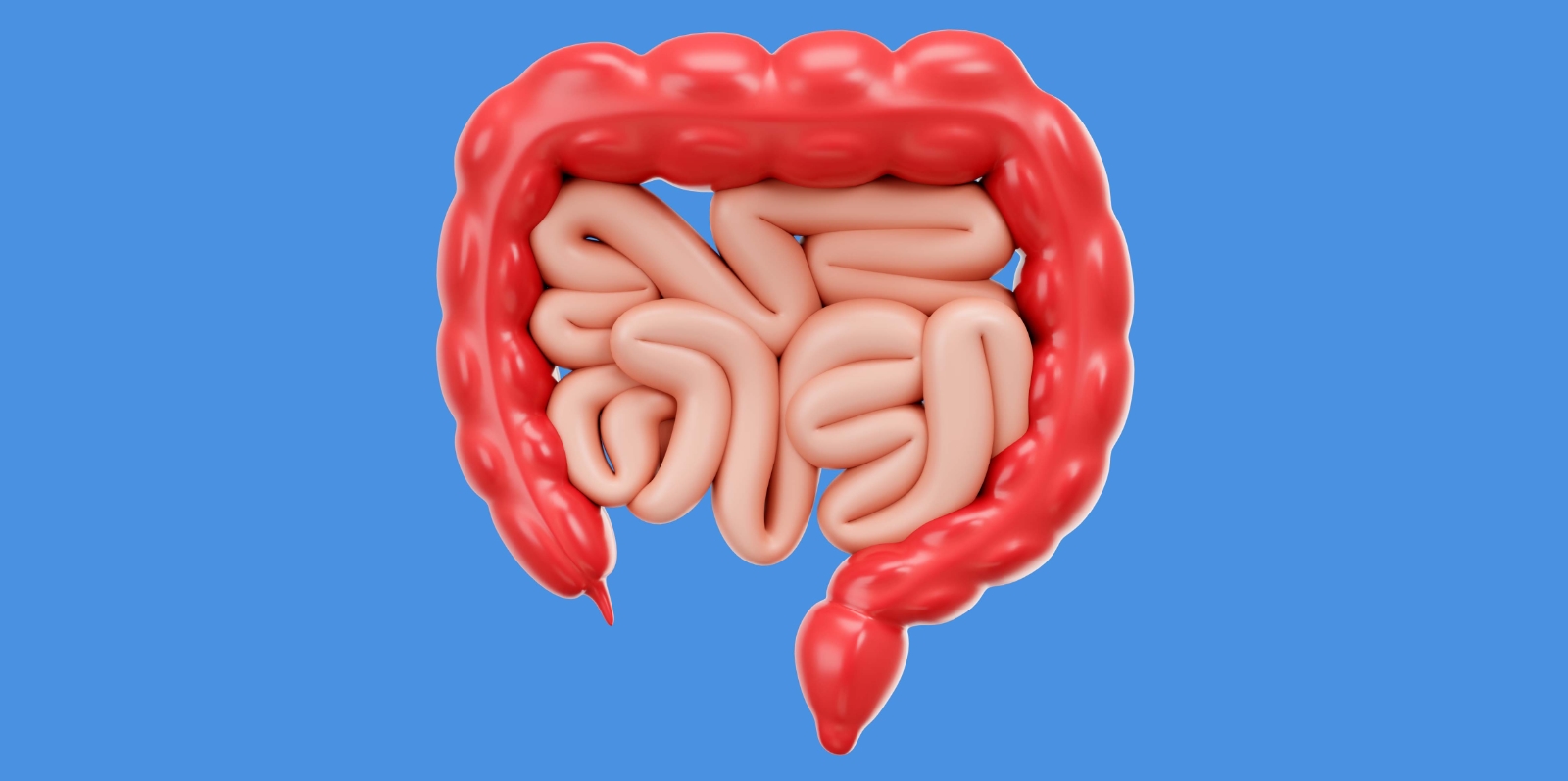 Probiotici e prebiotici, come disinfettare l’intestino