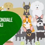 Quanto fa bene alla salute avere un animale!